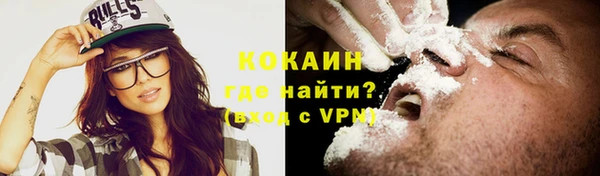 молекула духа Карпинск