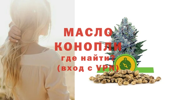гидра Каменка