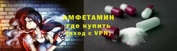 молекула духа Карпинск