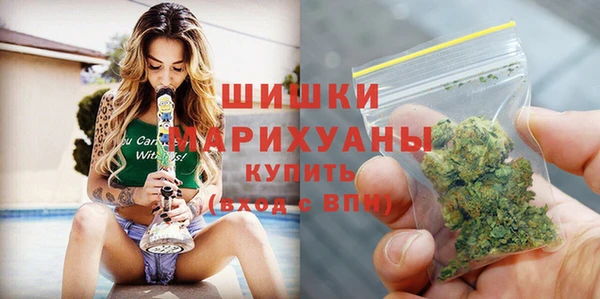 гидра Каменка