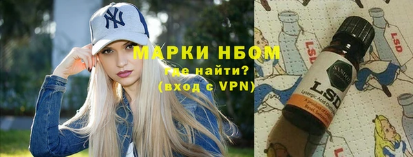 гидра Каменка