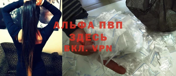 молекула духа Карпинск