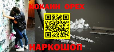 индика Гусев