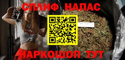 индика Гусев