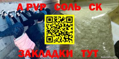 индика Гусев
