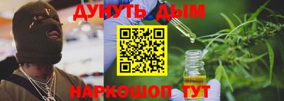 индика Гусев