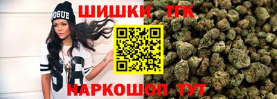 индика Гусев