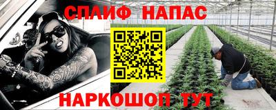 индика Гусев