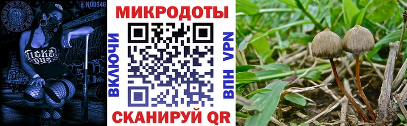 сколько стоит  Кунгур  Галлюциногенные грибы MAGIC MUSHROOMS 