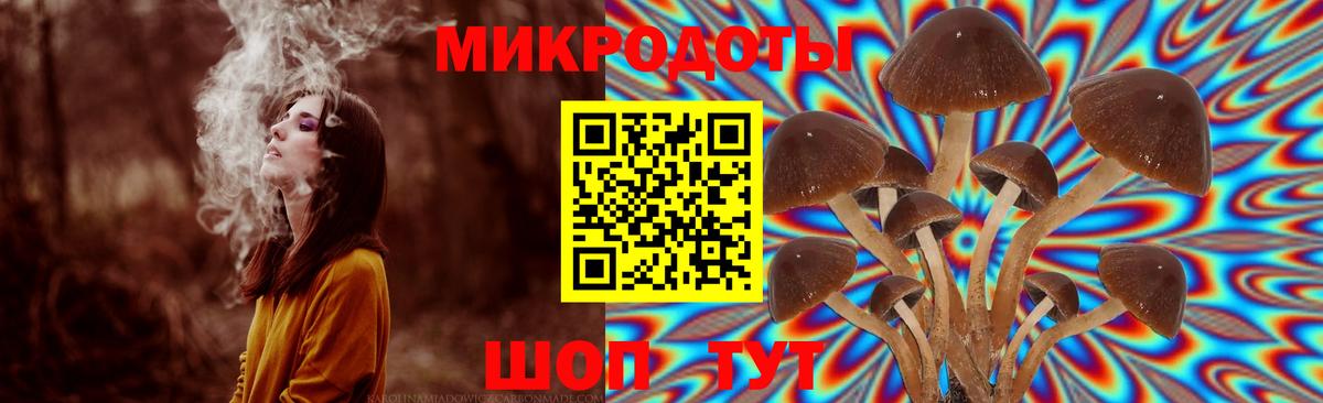 Псилоцибиновые грибы Magic Shrooms Кунгур