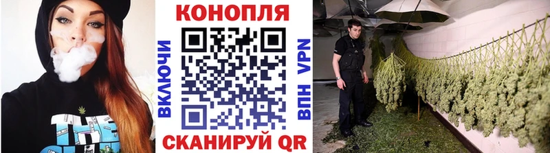 OMG как войти  Кунгур  Бошки Шишки OG Kush  купить  